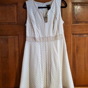 Ann Taylor Factory Dress